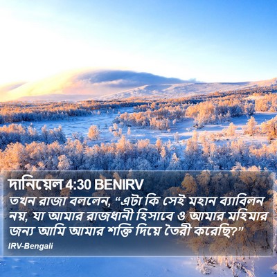 দানিয়েল 4:30 BENIRV Bible Verse Image