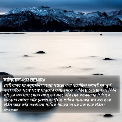 দানিয়েল 4:33 BENIRV Bible Verse Image