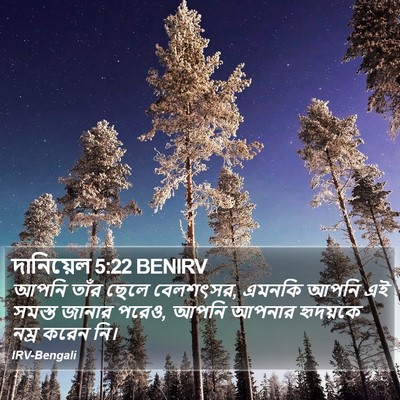 দানিয়েল 5:22 BENIRV Bible Verse Image