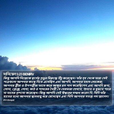 দানিয়েল 5:23 BENIRV Bible Verse Image