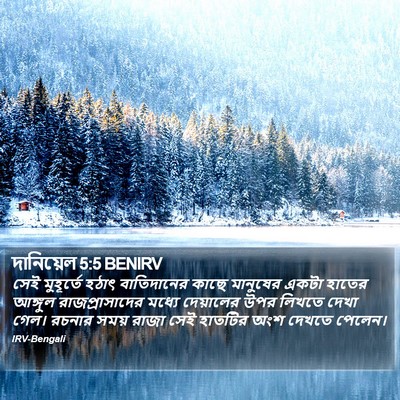 দানিয়েল 5:5 BENIRV Bible Verse Image