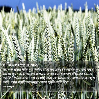 দানিয়েল 6:22 BENIRV Bible Verse Image