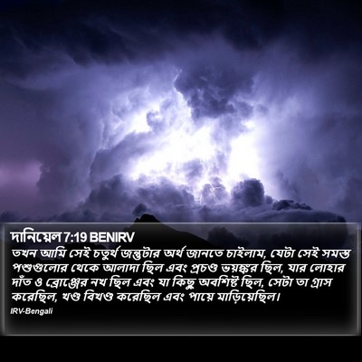 দানিয়েল 7:19 BENIRV Bible Verse Image