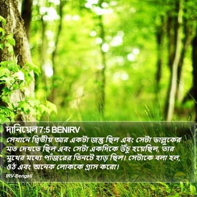 দানিয়েল 7:5 BENIRV Bible Verse Image