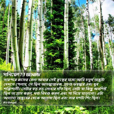 দানিয়েল 7:7 BENIRV Bible Verse Image
