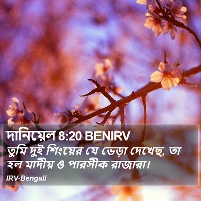দানিয়েল 8:20 BENIRV Bible Verse Image