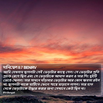 দানিয়েল 8:7 BENIRV Bible Verse Image