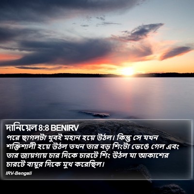 দানিয়েল 8:8 BENIRV Bible Verse Image