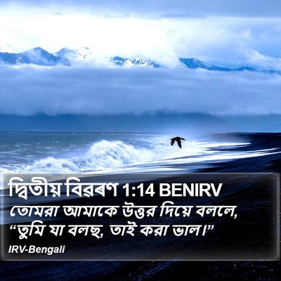দ্বিতীয় বিৱৰণ 1:14 BENIRV Bible Verse Image