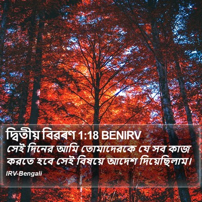 দ্বিতীয় বিৱৰণ 1:18 BENIRV Bible Verse Image