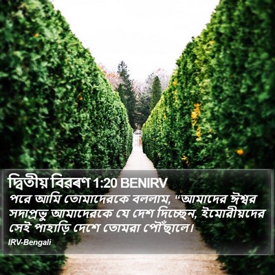 দ্বিতীয় বিৱৰণ 1:20 BENIRV Bible Verse Image