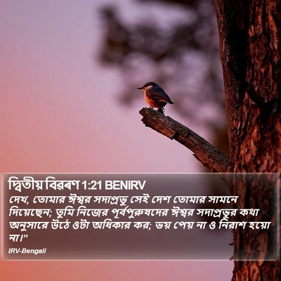 দ্বিতীয় বিৱৰণ 1:21 BENIRV Bible Verse Image
