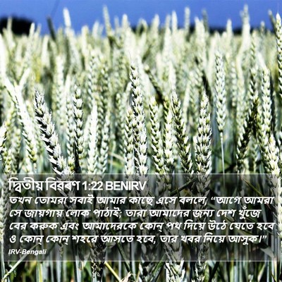 দ্বিতীয় বিৱৰণ 1:22 BENIRV Bible Verse Image