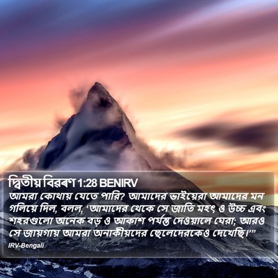 দ্বিতীয় বিৱৰণ 1:28 BENIRV Bible Verse Image