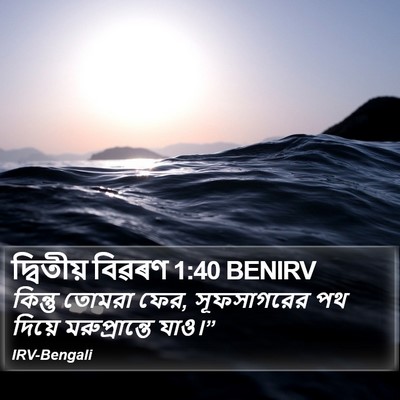 দ্বিতীয় বিৱৰণ 1:40 BENIRV Bible Verse Image
