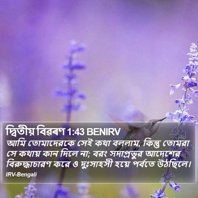 দ্বিতীয় বিৱৰণ 1:43 BENIRV Bible Verse Image