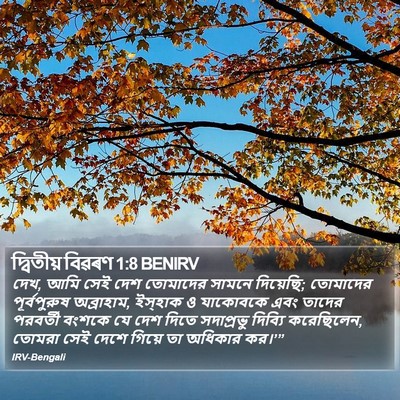 দ্বিতীয় বিৱৰণ 1:8 BENIRV Bible Verse Image