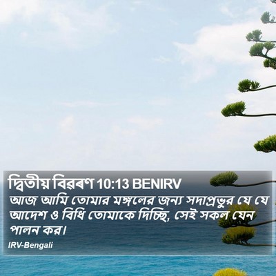দ্বিতীয় বিৱৰণ 10:13 BENIRV Bible Verse Image
