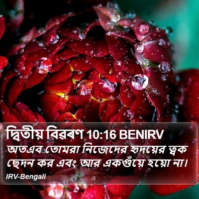 দ্বিতীয় বিৱৰণ 10:16 BENIRV Bible Verse Image