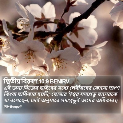 দ্বিতীয় বিৱৰণ 10:9 BENIRV Bible Verse Image