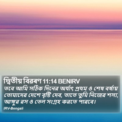 দ্বিতীয় বিৱৰণ 11:14 BENIRV Bible Verse Image