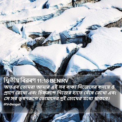 দ্বিতীয় বিৱৰণ 11:18 BENIRV Bible Verse Image