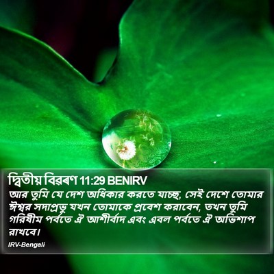 দ্বিতীয় বিৱৰণ 11:29 BENIRV Bible Verse Image