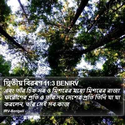 দ্বিতীয় বিৱৰণ 11:3 BENIRV Bible Verse Image