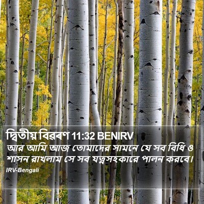 দ্বিতীয় বিৱৰণ 11:32 BENIRV Bible Verse Image