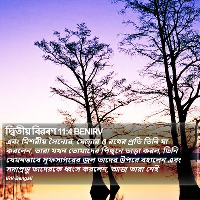 দ্বিতীয় বিৱৰণ 11:4 BENIRV Bible Verse Image