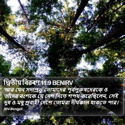 দ্বিতীয় বিৱৰণ 11:9 BENIRV Bible Verse Image