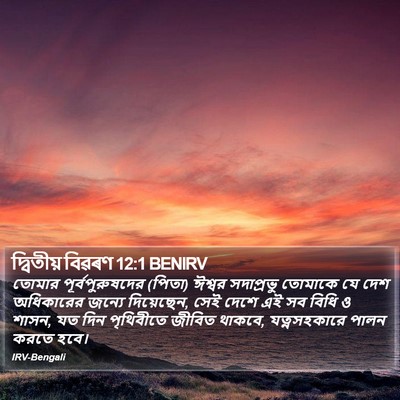 দ্বিতীয় বিৱৰণ 12:1 BENIRV Bible Verse Image