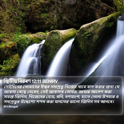 দ্বিতীয় বিৱৰণ 12:11 BENIRV Bible Verse Image