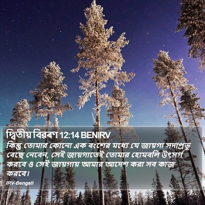দ্বিতীয় বিৱৰণ 12:14 BENIRV Bible Verse Image
