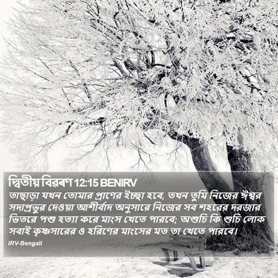 দ্বিতীয় বিৱৰণ 12:15 BENIRV Bible Verse Image