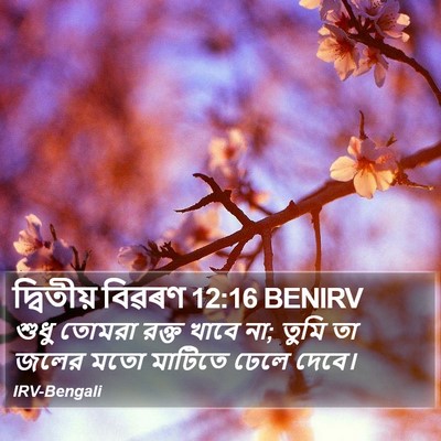 দ্বিতীয় বিৱৰণ 12:16 BENIRV Bible Verse Image