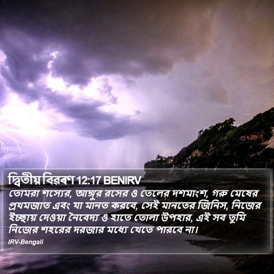 দ্বিতীয় বিৱৰণ 12:17 BENIRV Bible Verse Image