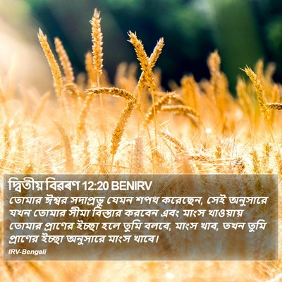 দ্বিতীয় বিৱৰণ 12:20 BENIRV Bible Verse Image