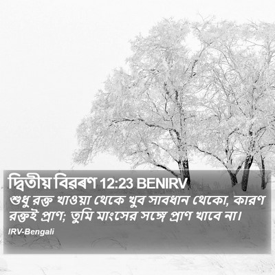 দ্বিতীয় বিৱৰণ 12:23 BENIRV Bible Verse Image