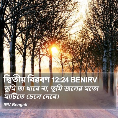 দ্বিতীয় বিৱৰণ 12:24 BENIRV Bible Verse Image