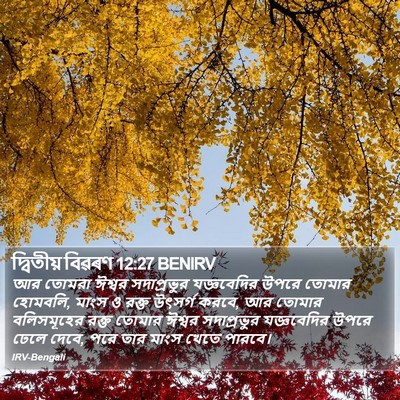দ্বিতীয় বিৱৰণ 12:27 BENIRV Bible Verse Image