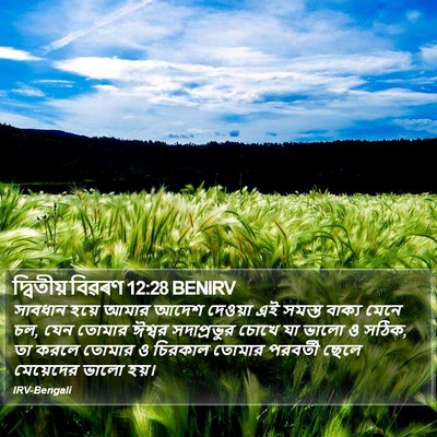 দ্বিতীয় বিৱৰণ 12:28 BENIRV Bible Verse Image