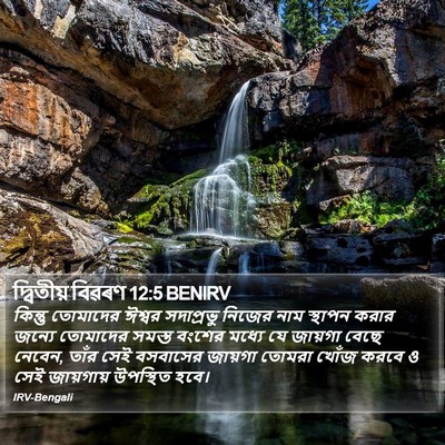 দ্বিতীয় বিৱৰণ 12:5 BENIRV Bible Verse Image