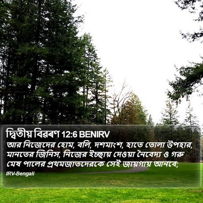 দ্বিতীয় বিৱৰণ 12:6 BENIRV Bible Verse Image