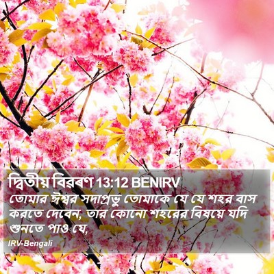 দ্বিতীয় বিৱৰণ 13:12 BENIRV Bible Verse Image