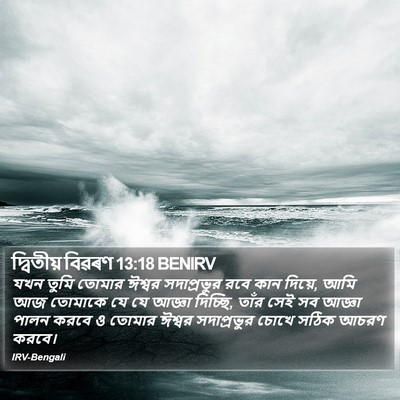 দ্বিতীয় বিৱৰণ 13:18 BENIRV Bible Verse Image