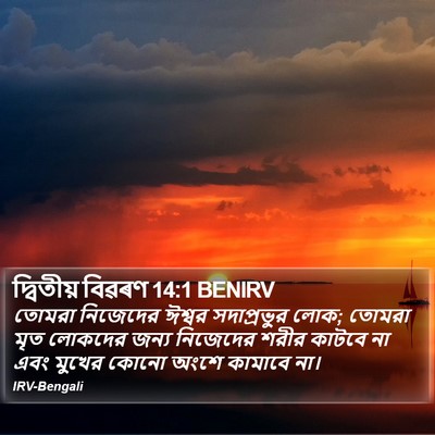 দ্বিতীয় বিৱৰণ 14:1 BENIRV Bible Verse Image