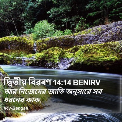 দ্বিতীয় বিৱৰণ 14:14 BENIRV Bible Verse Image