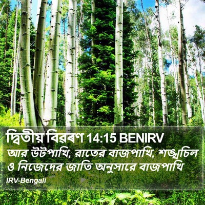 দ্বিতীয় বিৱৰণ 14:15 BENIRV Bible Verse Image