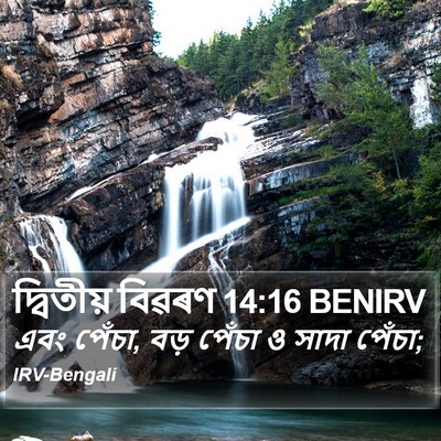 দ্বিতীয় বিৱৰণ 14:16 BENIRV Bible Verse Image